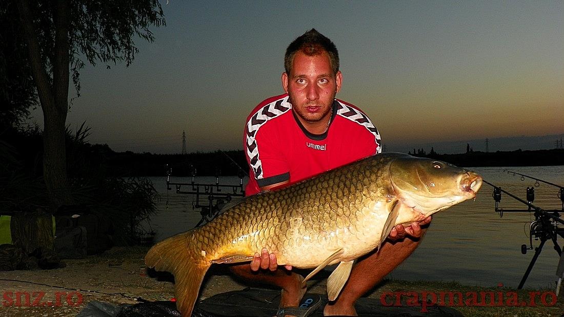 Diverse Partide - hamsie tancabesti.jpg